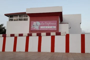 Les Delphineaux by Tatamy